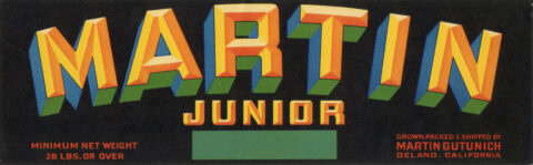 Martin Junior